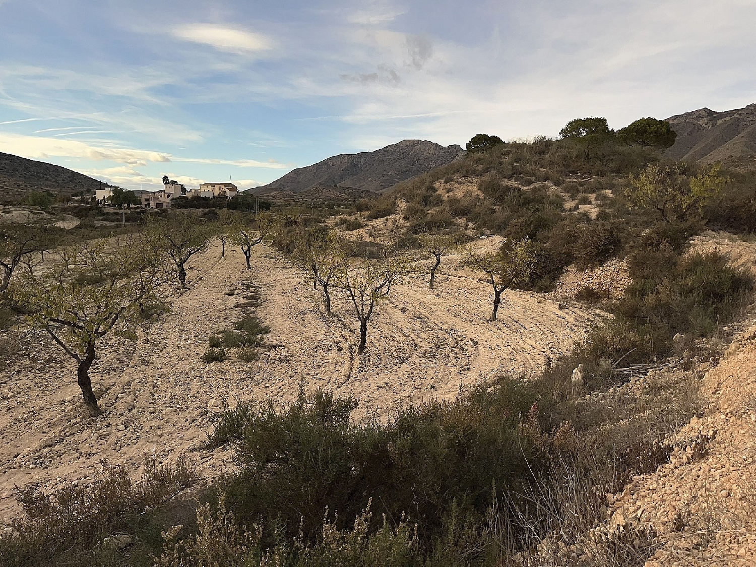 à vendre maison de campagne Hondón De Las Nieves Vinalopó Mitjà 2
