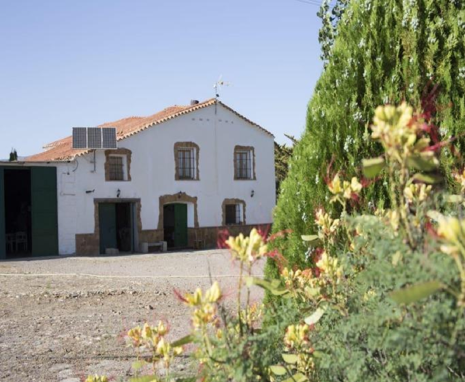  te koop boerderij Huéneja Accitania 3