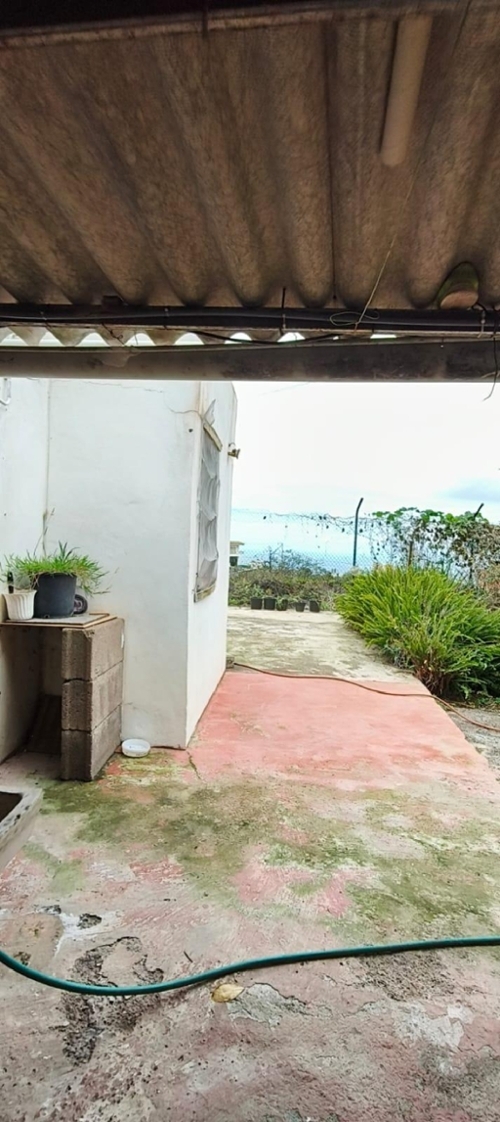 Icod De Los Vinos Zona Norte hus på landet foto 6329232