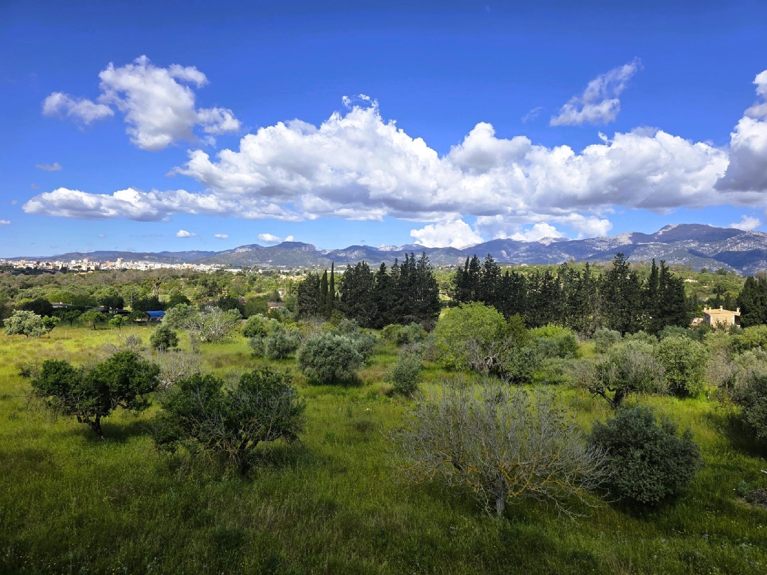  till salu hus på landet Inca Raiguer 3