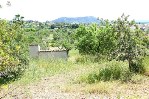 Inca Raiguer finca rústica foto 6339598