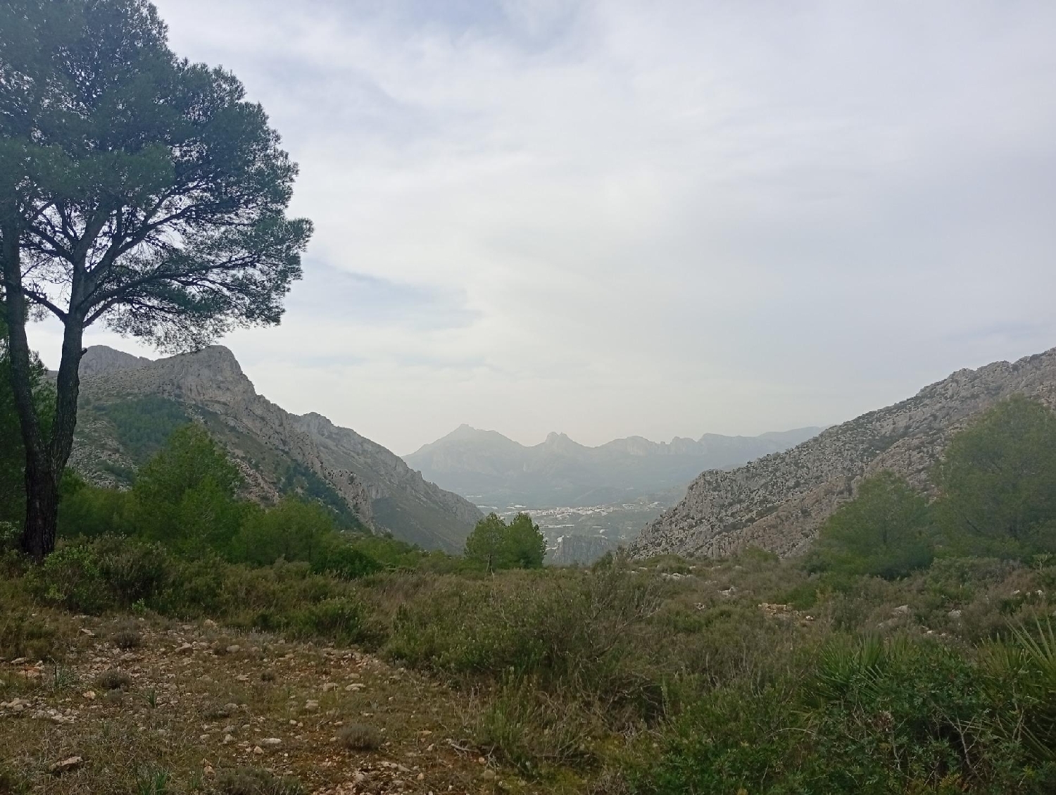  kaufen Landhaus Jalón Marina Alta 7