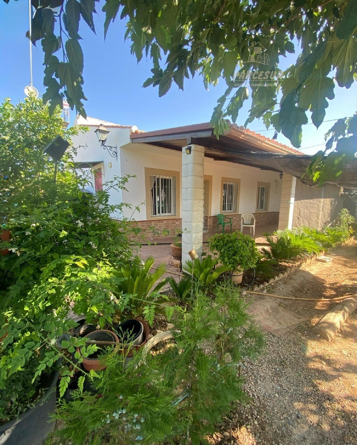  till salu hus på landet La Carlota Valle Medio Del Guadalquivir 1