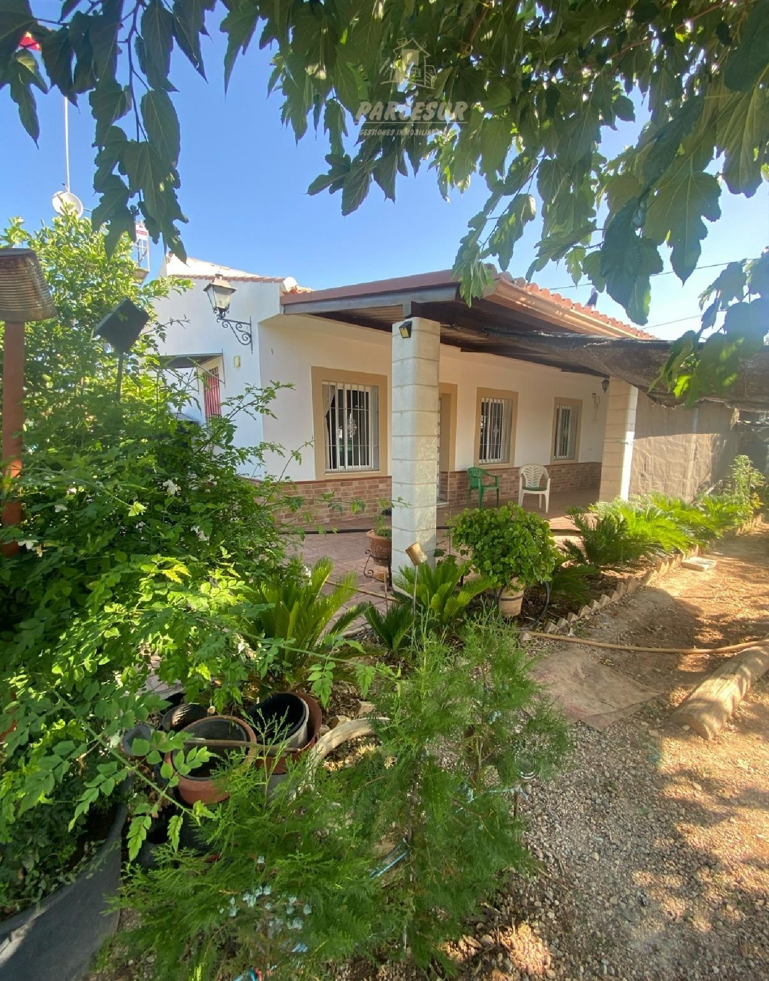  till salu hus på landet La Carlota Valle Medio Del Guadalquivir 2