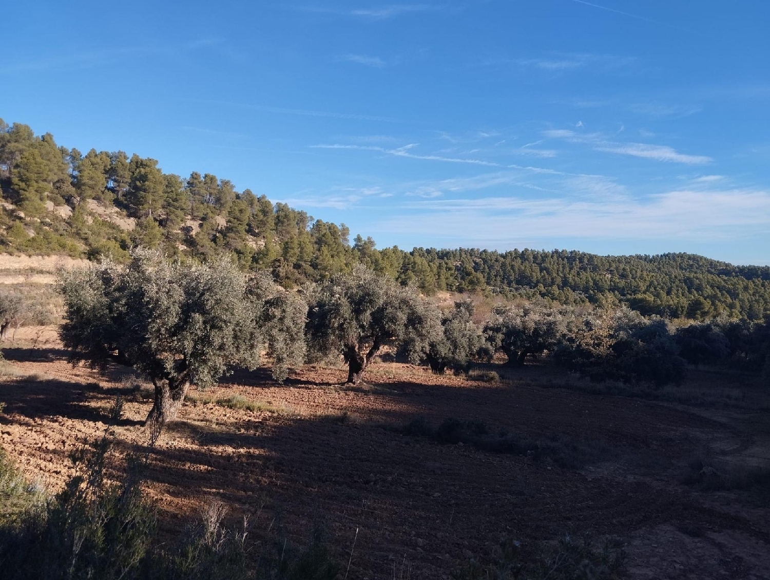 à vendre maison de campagne La Fresneda Matarraña 4