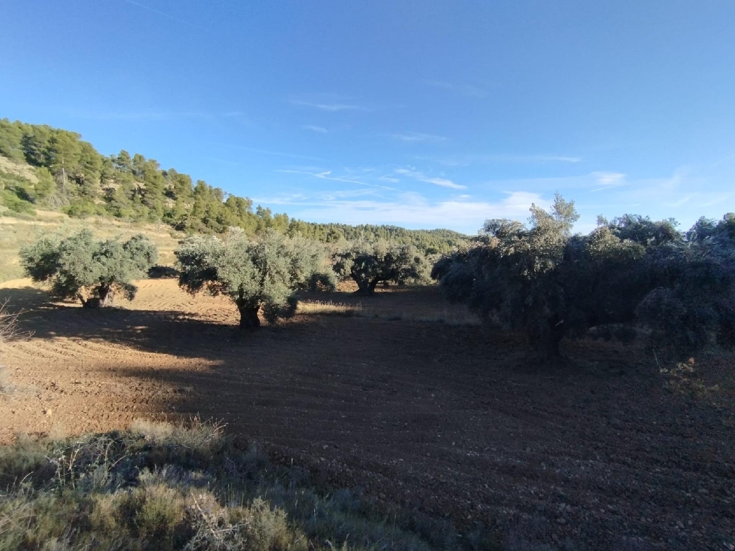  à vendre maison de campagne La Fresneda Matarraña 8