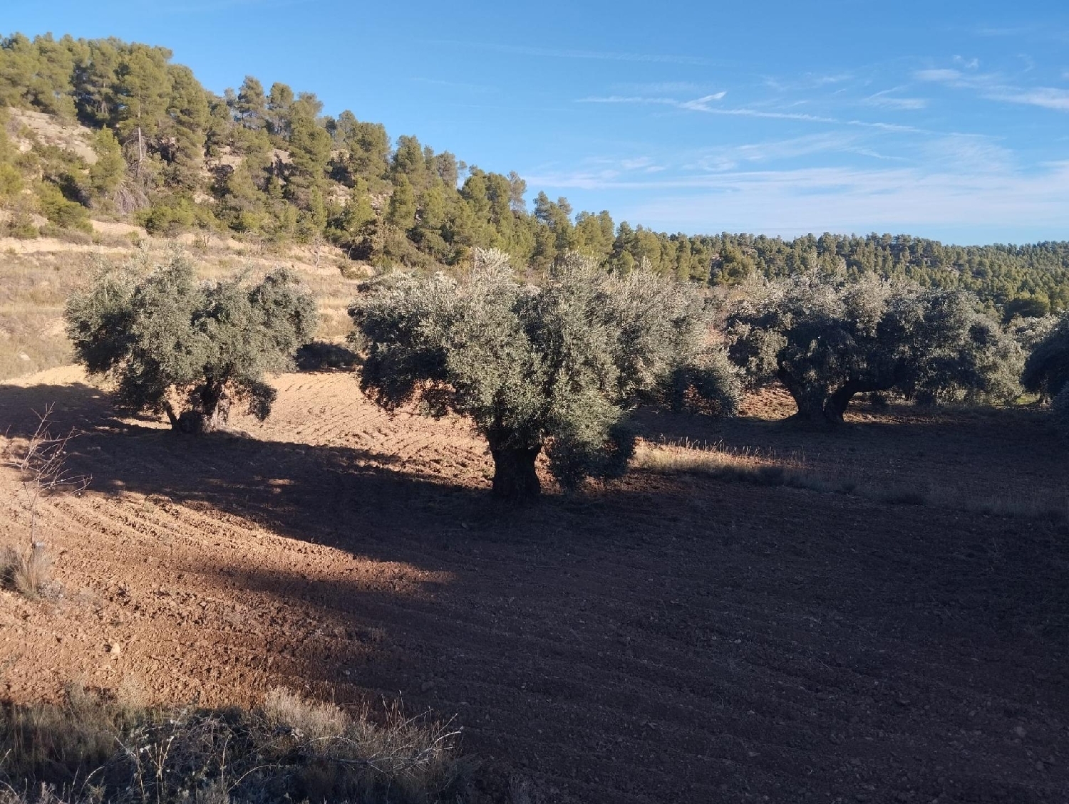  à vendre maison de campagne La Fresneda Matarraña 7