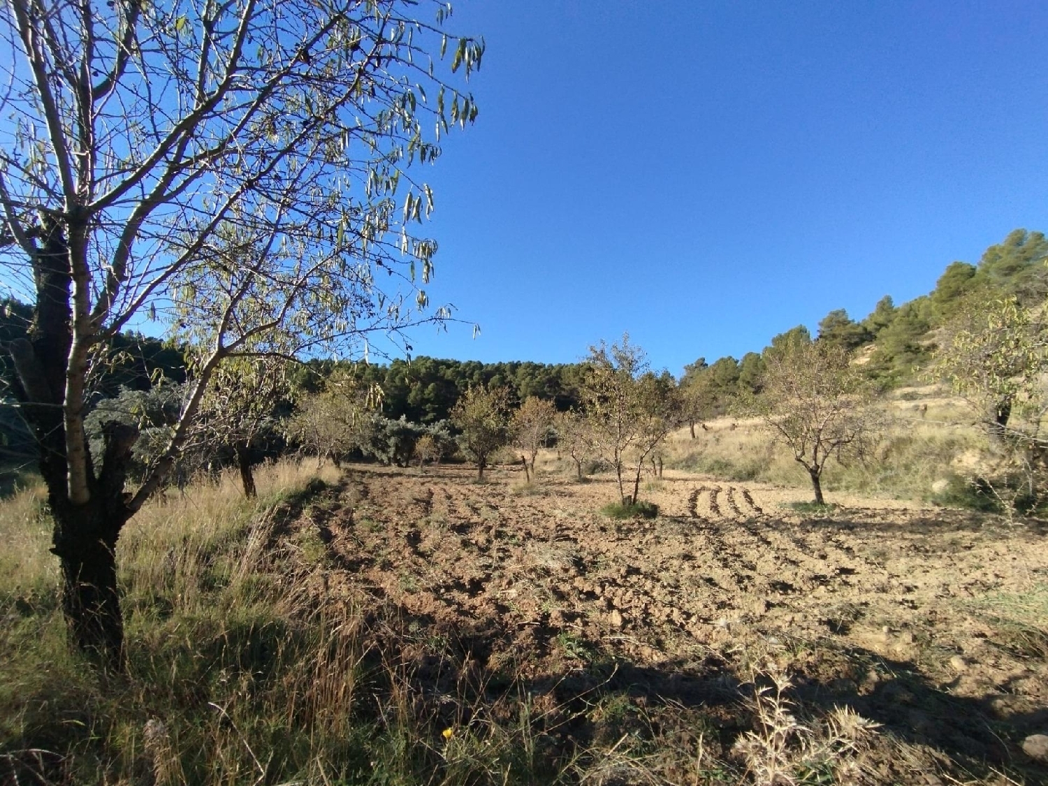  à vendre maison de campagne La Fresneda Matarraña 5
