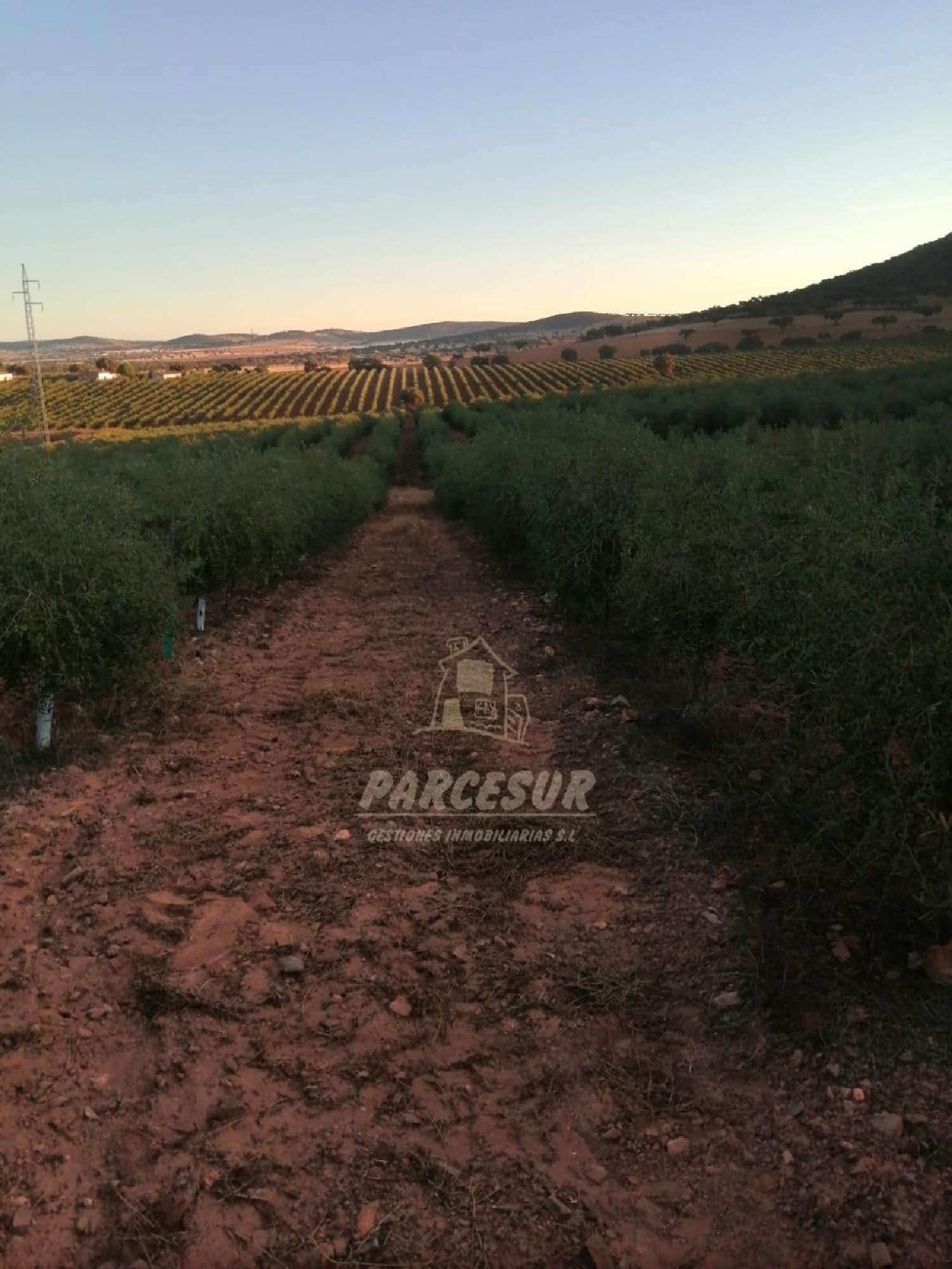 for sale country house La Granjuela Valle Del Guadiato 4