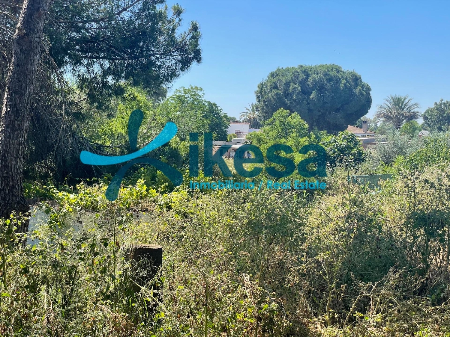  te koop boerderij La Puebla Del Rio Metropolitana De Sevilla 6