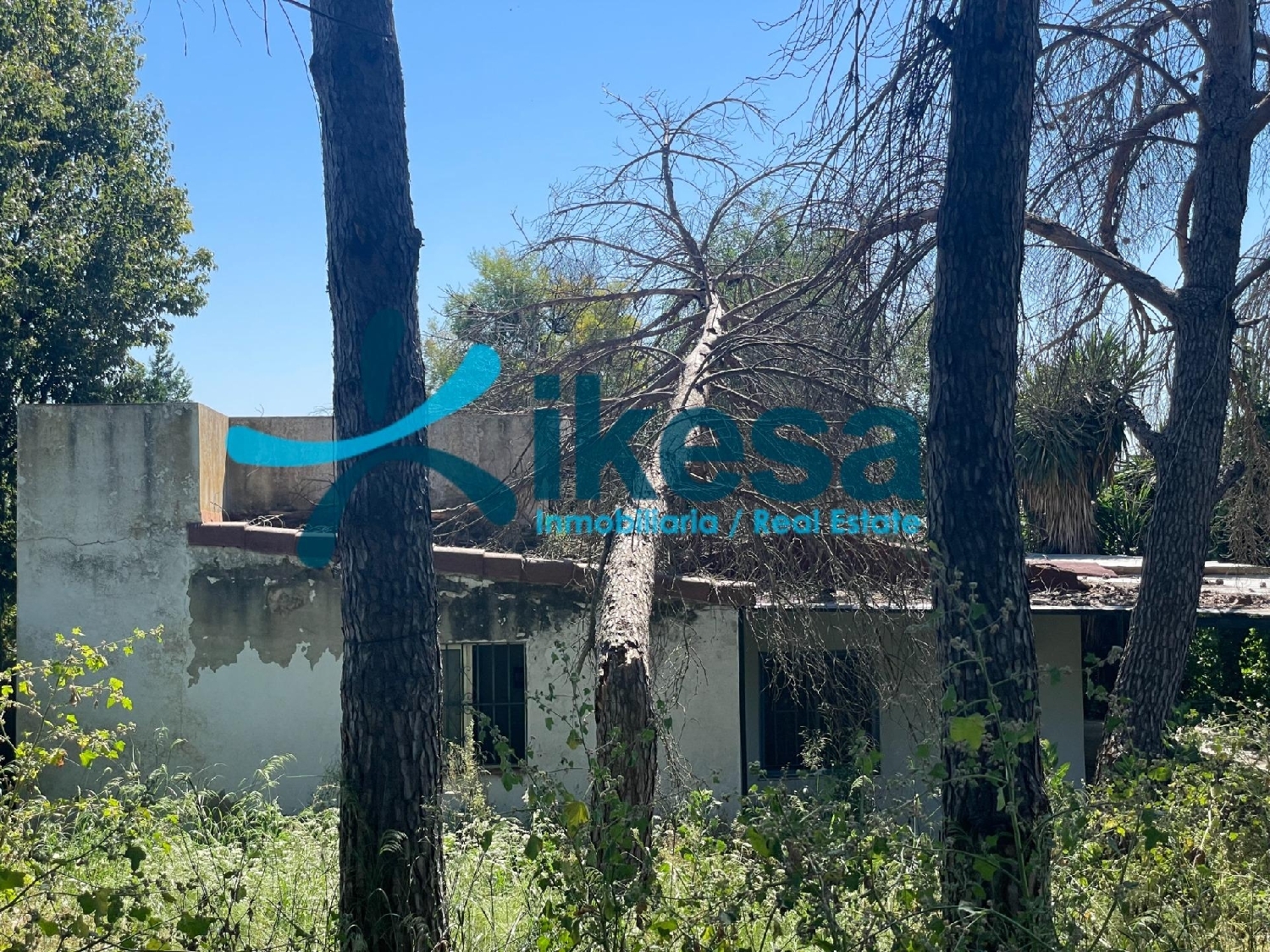  te koop boerderij La Puebla Del Rio Metropolitana De Sevilla 7