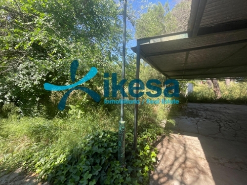 La Puebla Del Rio Metropolitana De Sevilla boerderij foto 6336828