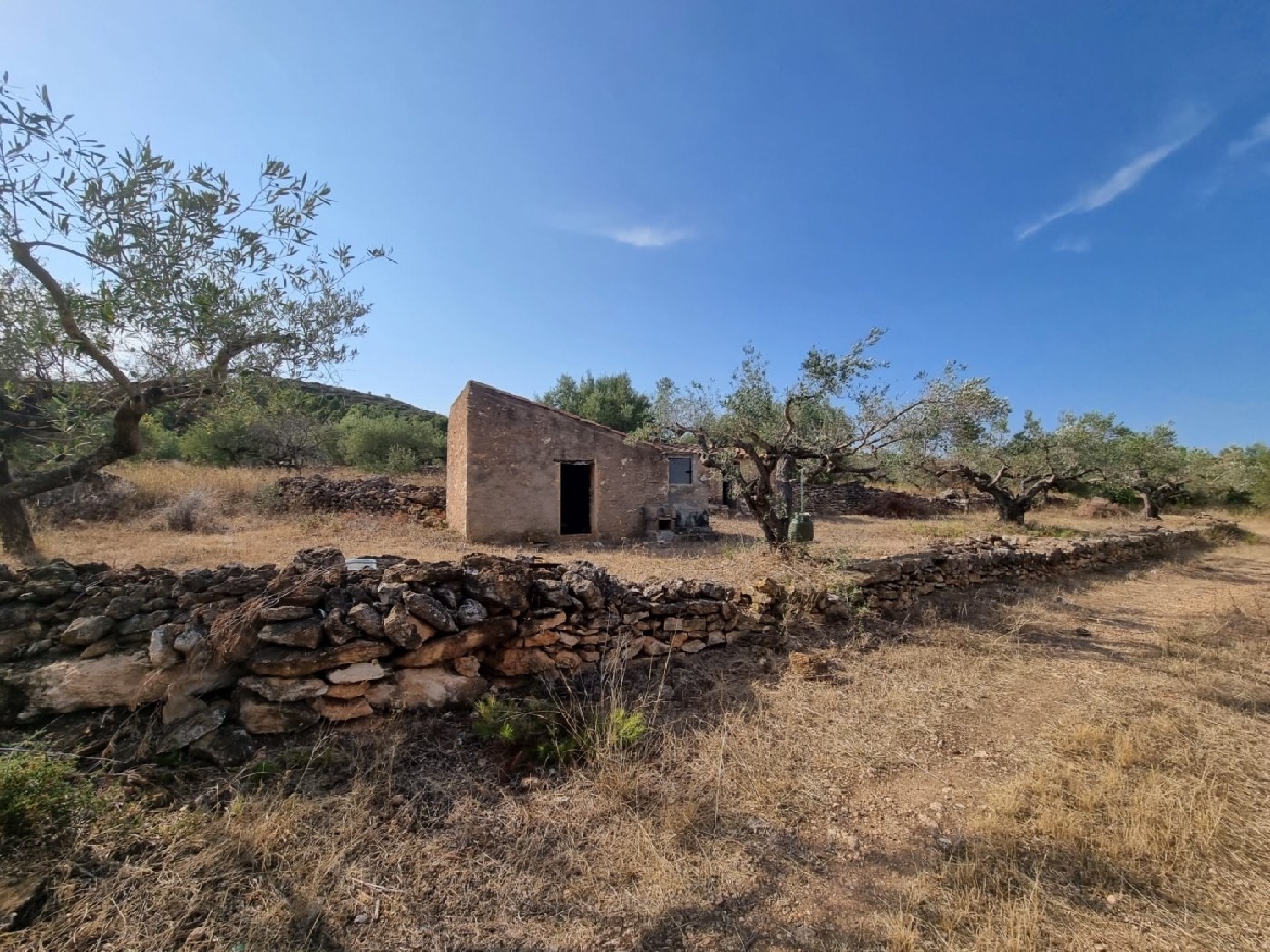  en venta finca rústica L'ametlla De Mar Baix Ebre 5