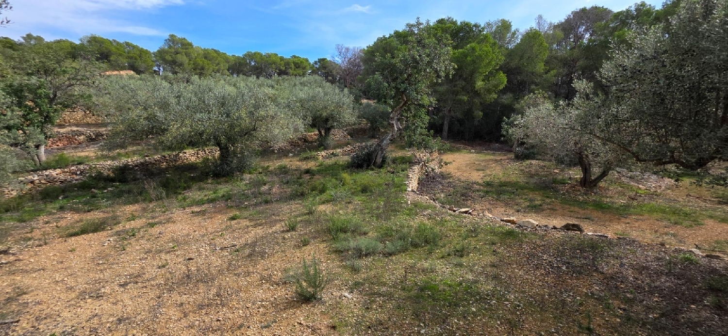  en venta finca rústica L'ametlla De Mar Baix Ebre 5