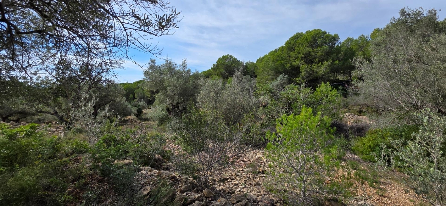  en venta finca rústica L'ametlla De Mar Baix Ebre 7
