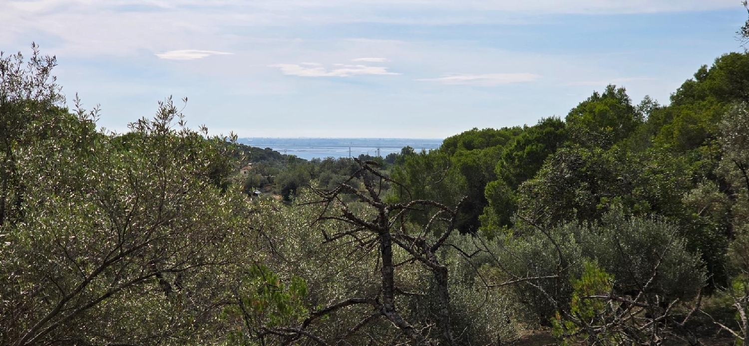 en venta finca rústica L'ametlla De Mar Baix Ebre 1