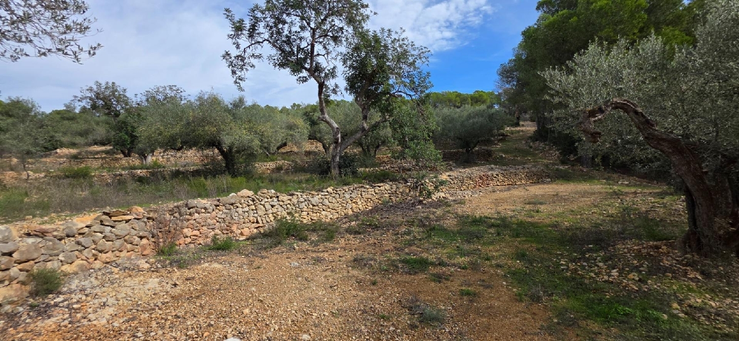  en venta finca rústica L'ametlla De Mar Baix Ebre 4