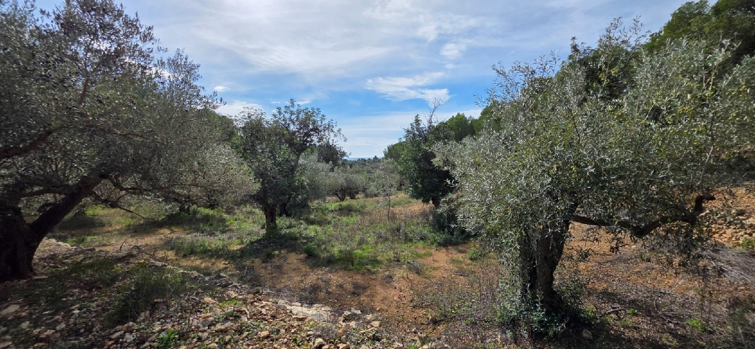  en venta finca rústica L'ametlla De Mar Baix Ebre 3