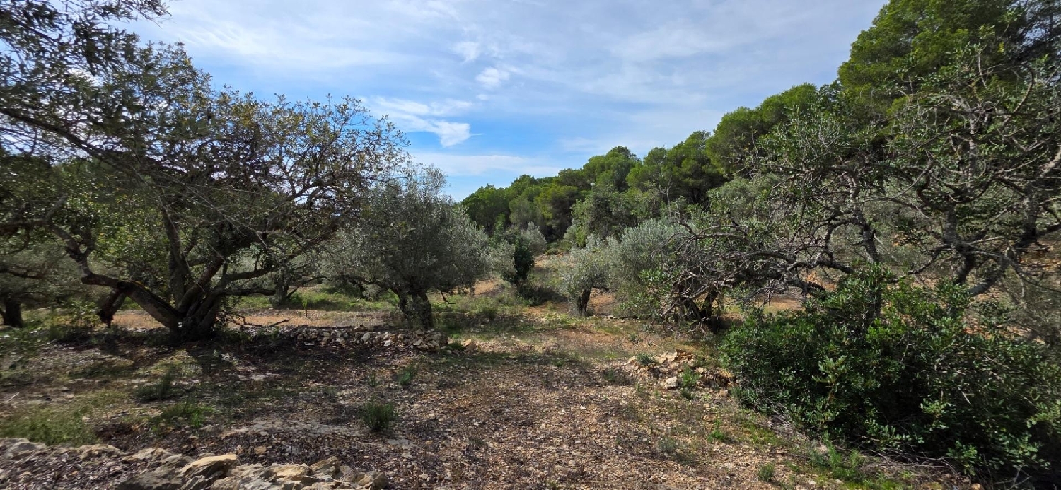  en venta finca rústica L'ametlla De Mar Baix Ebre 6