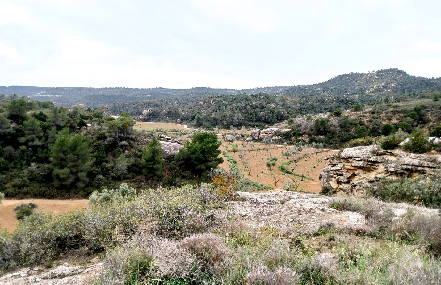  te koop boerderij Maella Bajo Aragón-Caspe 11