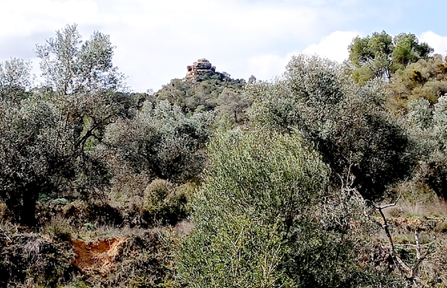  te koop boerderij Maella Bajo Aragón-Caspe 2