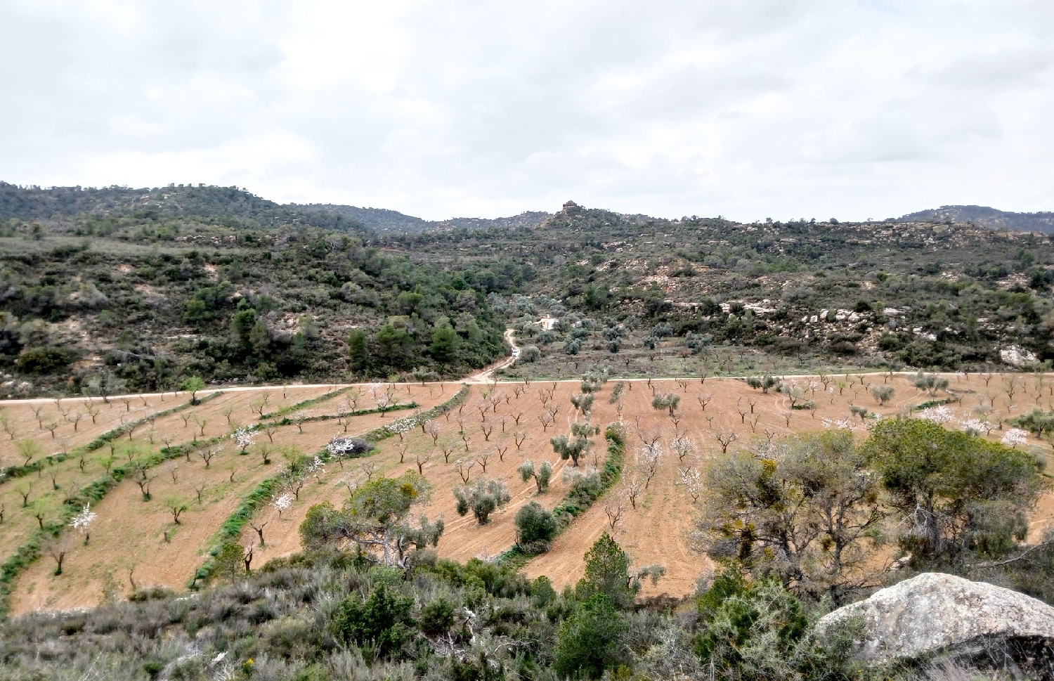  te koop boerderij Maella Bajo Aragón-Caspe 10