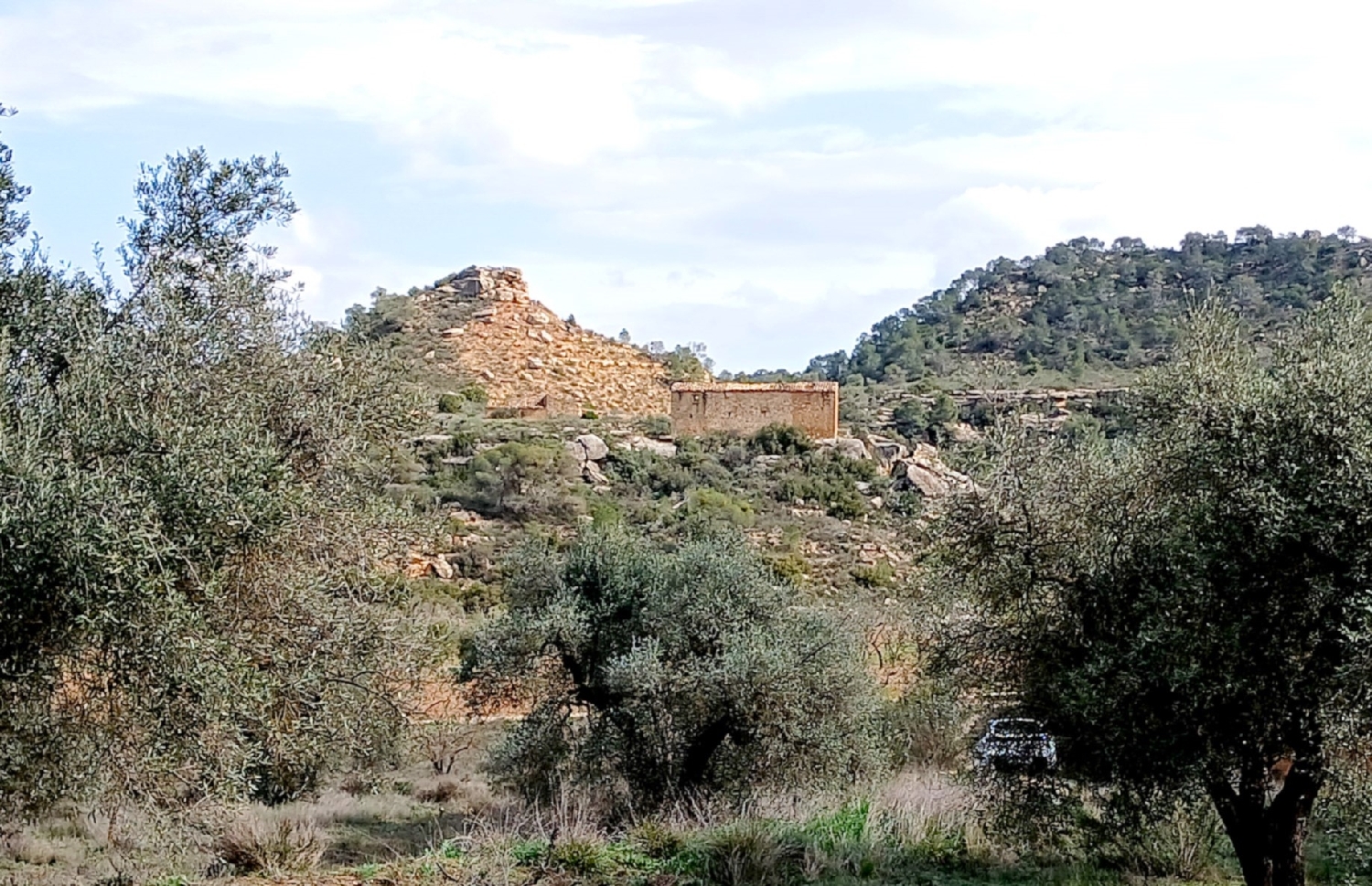  te koop boerderij Maella Bajo Aragón-Caspe 9