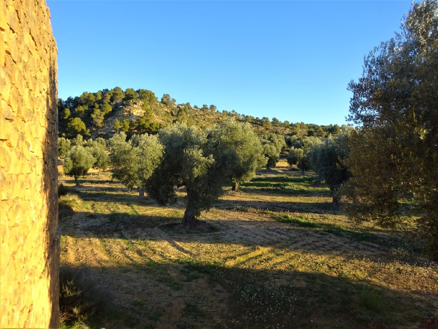  te koop boerderij Maella Bajo Aragón-Caspe 13