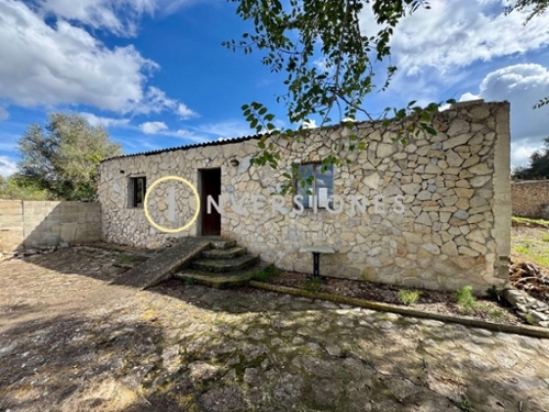 Manacor Llevant Landhaus Bild 6341789