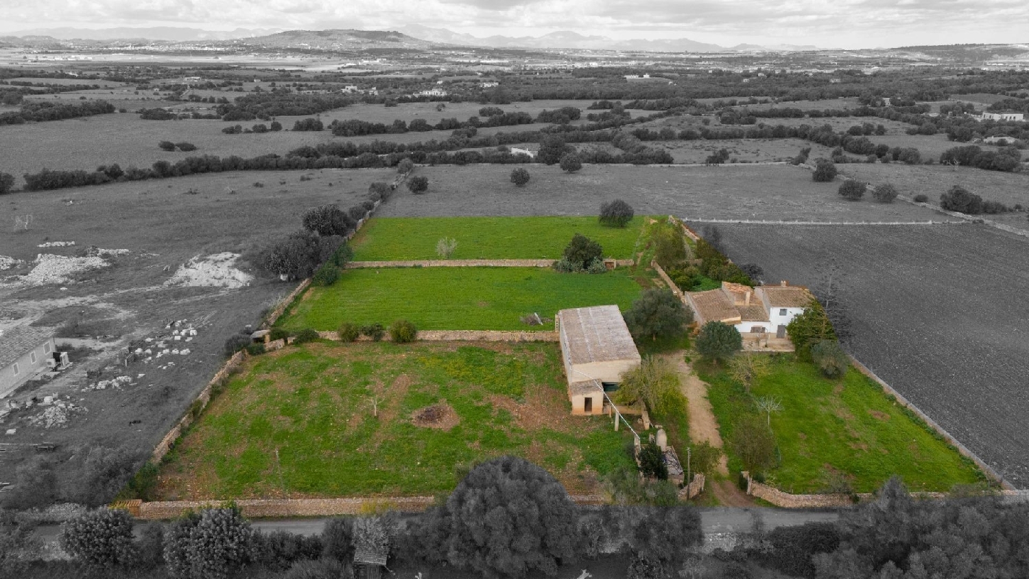  en venta finca rústica Manacor Llevant 2