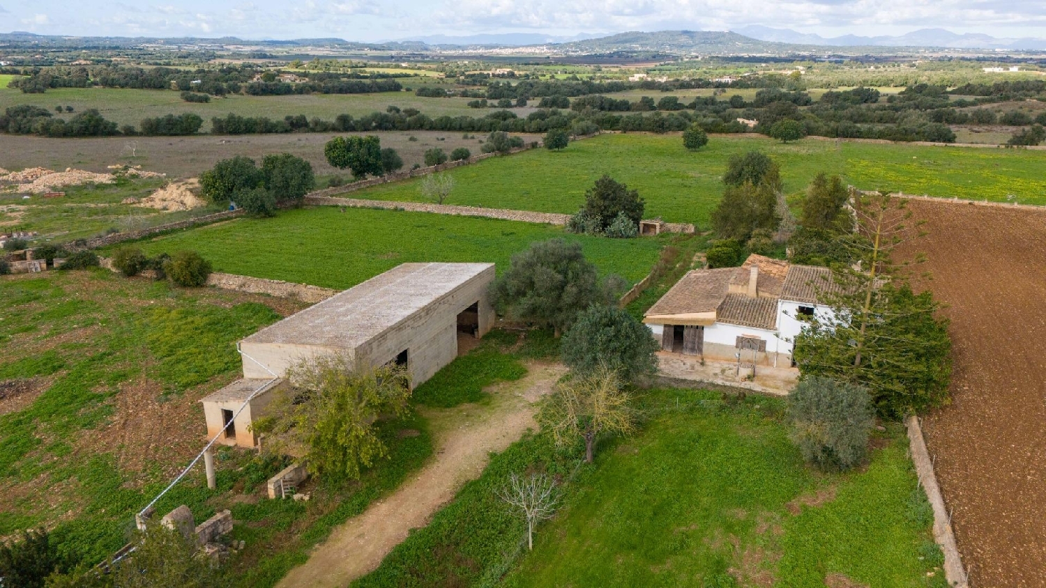  en venta finca rústica Manacor Llevant 1