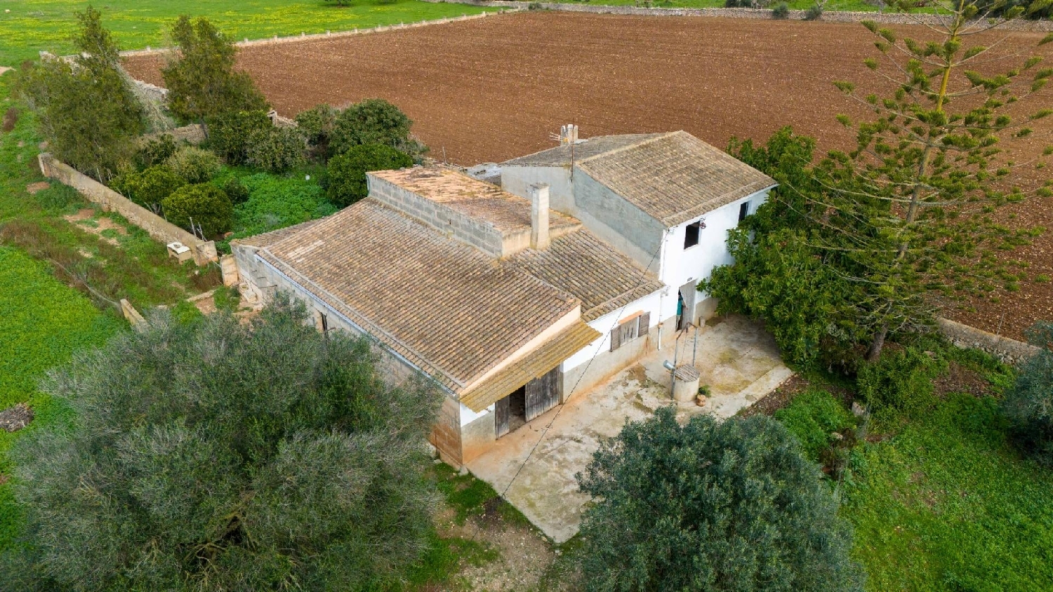  en venta finca rústica Manacor Llevant 3