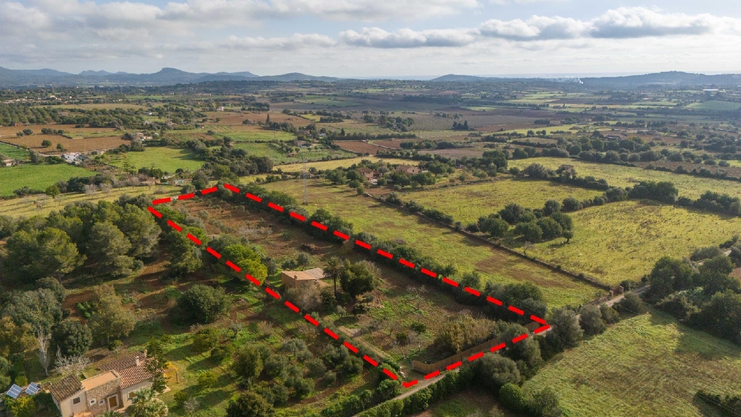  en venta finca rústica Manacor Llevant 3