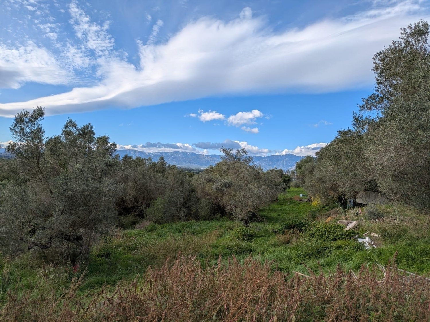  en venta finca rústica Masdenverge Montsià 6