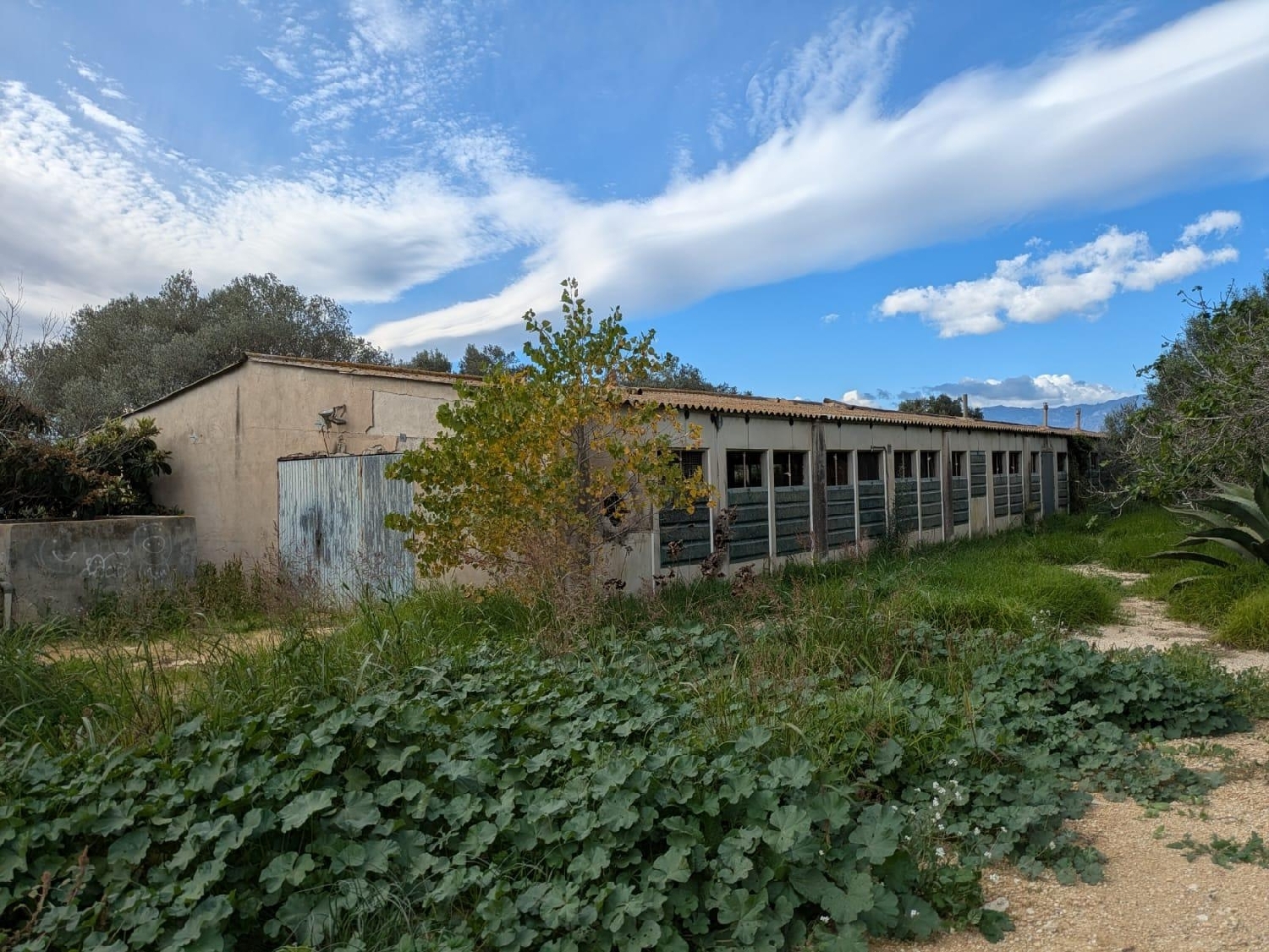 en venta finca rústica Masdenverge Montsià 3