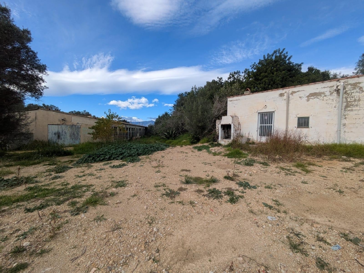  en venta finca rústica Masdenverge Montsià 4