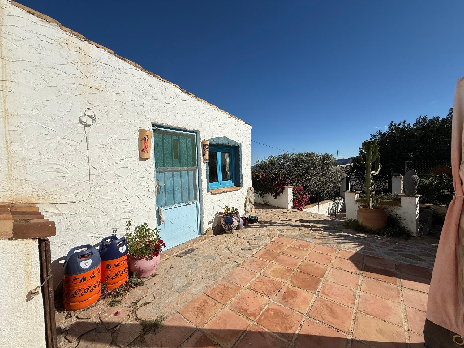  en venta finca rústica Mazarrón Bajo Guadalentín 5