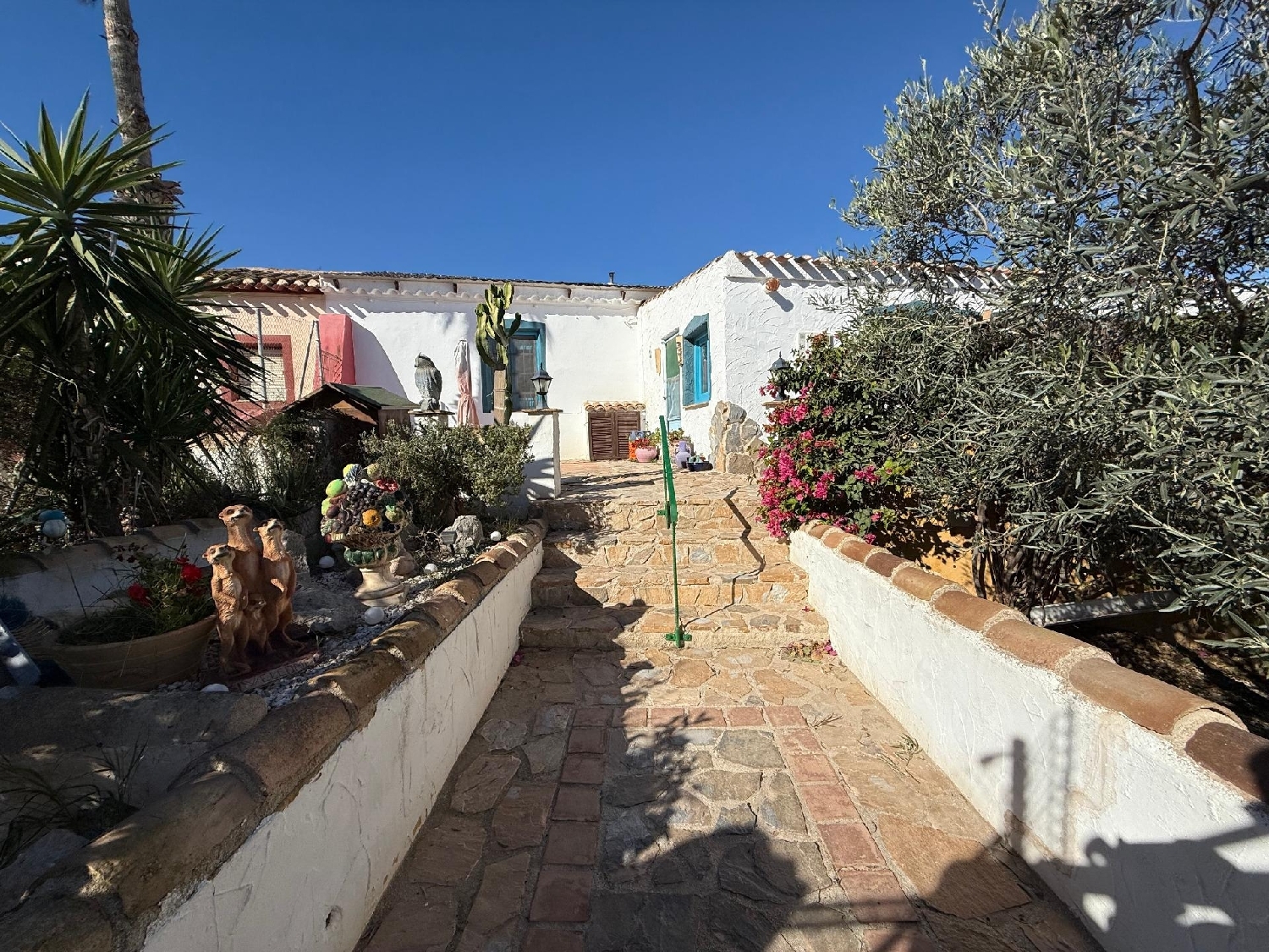  en venta finca rústica Mazarrón Bajo Guadalentín 1