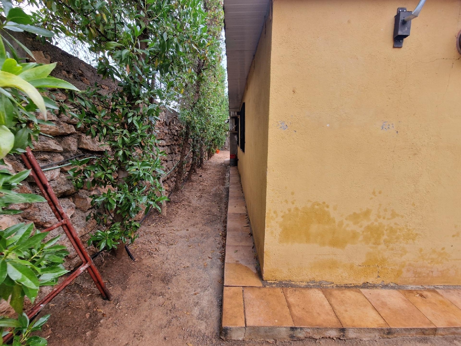  for sale country house Mazarrón Bajo Guadalentín 6