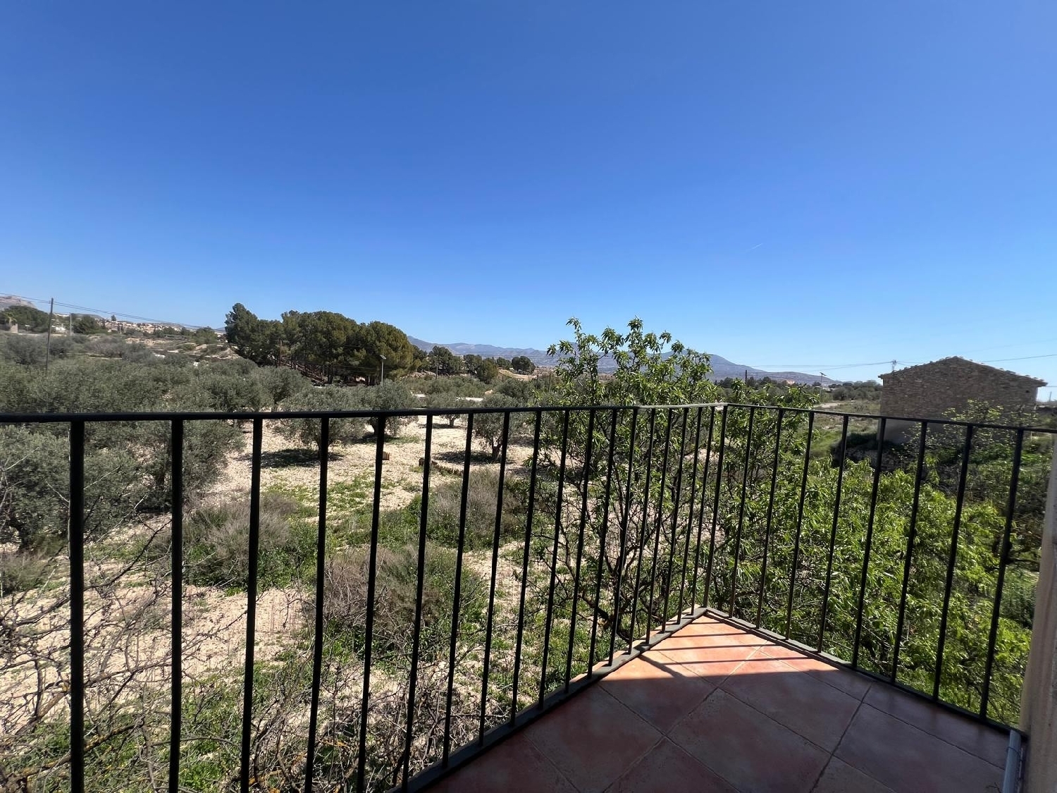  for sale country house Monóvar Vinalopó Mitjà 4