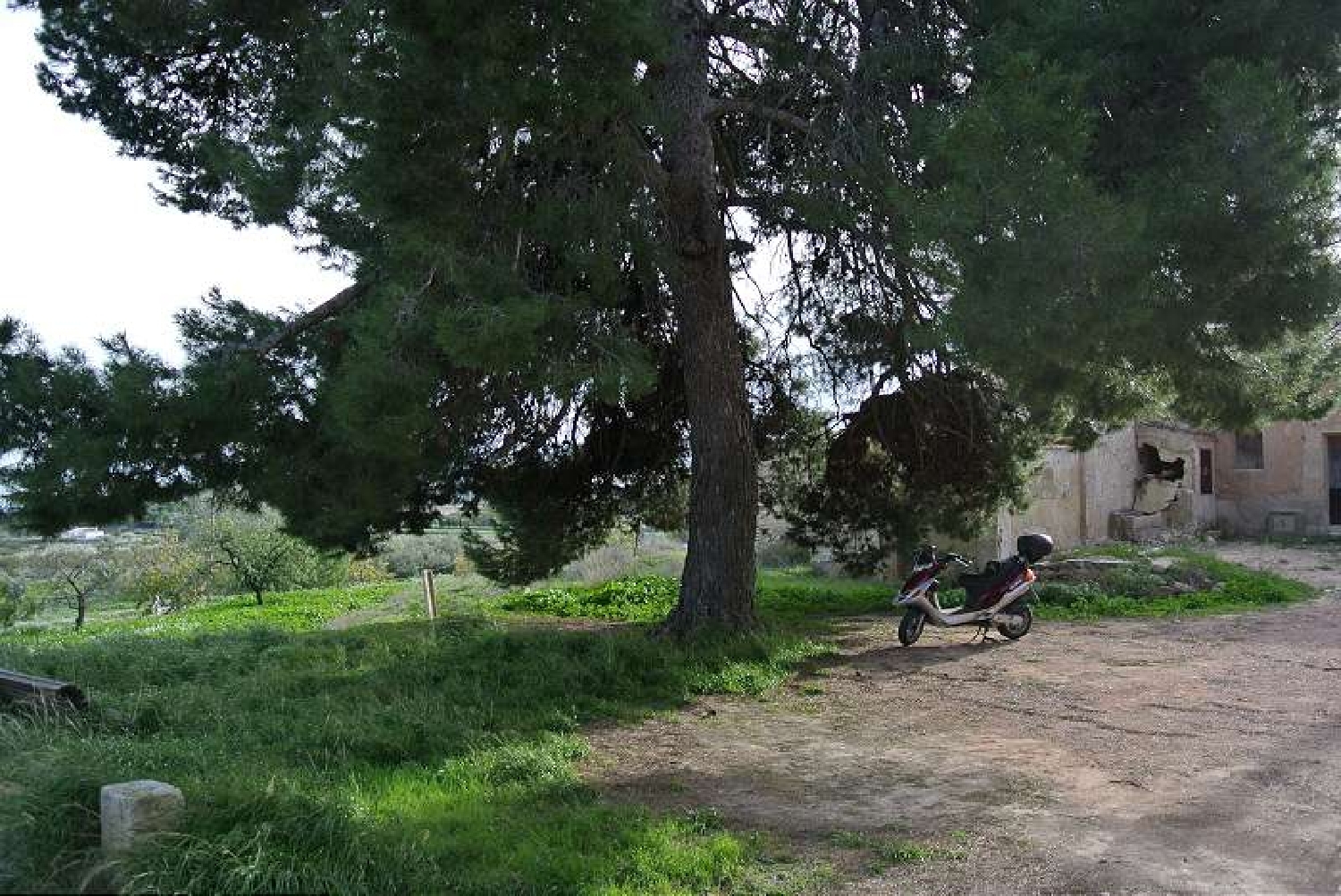  for sale country house Monóvar Vinalopó Mitjà 8