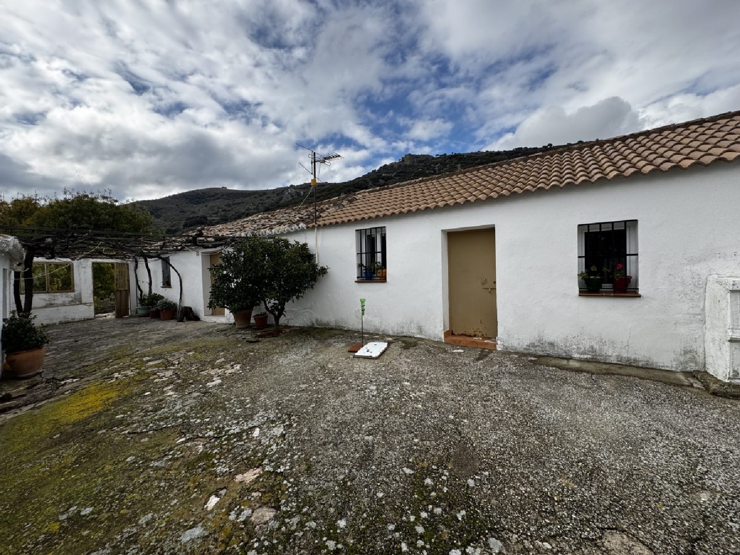 à vendre maison de campagne Montecorto Serranía De Ronda 9