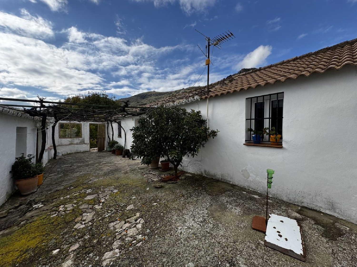 à vendre maison de campagne Montecorto Serranía De Ronda 2