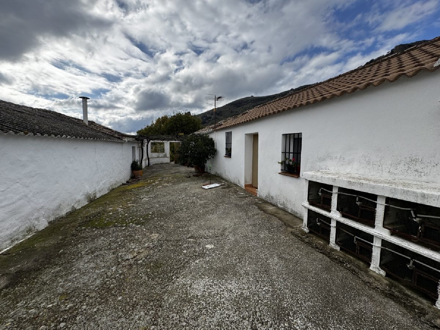 à vendre maison de campagne Montecorto Serranía De Ronda 7