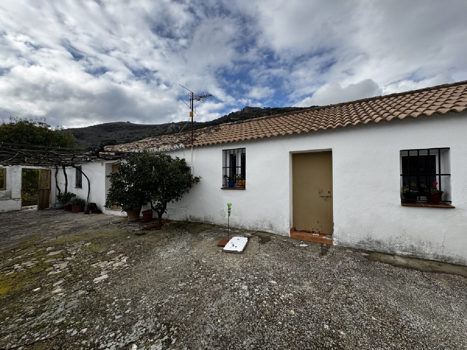 à vendre maison de campagne Montecorto Serranía De Ronda 12