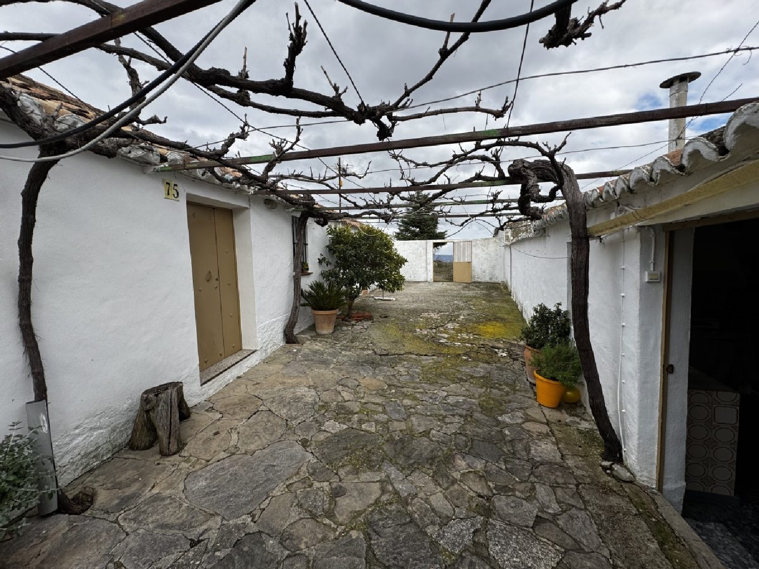 à vendre maison de campagne Montecorto Serranía De Ronda 15
