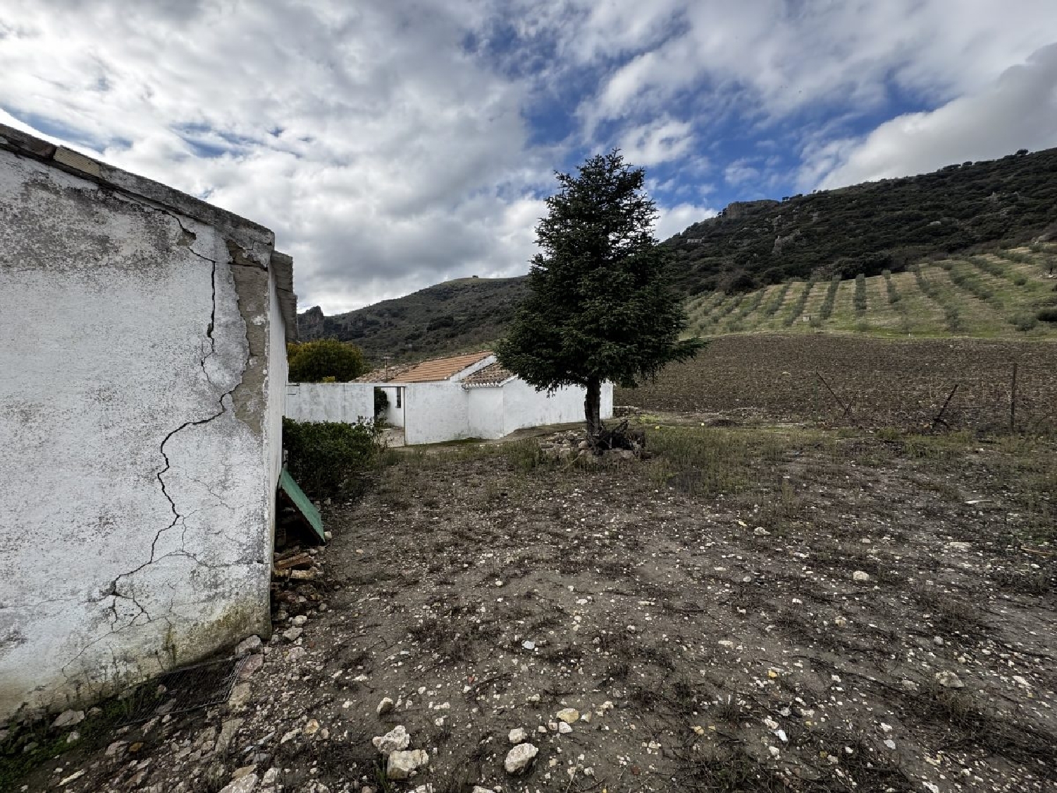à vendre maison de campagne Montecorto Serranía De Ronda 4