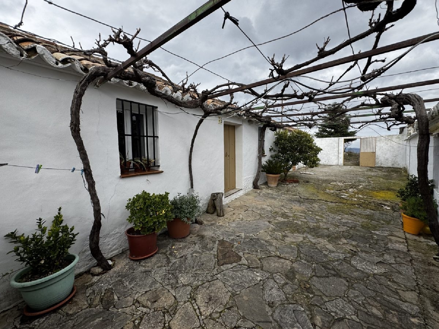 à vendre maison de campagne Montecorto Serranía De Ronda 8
