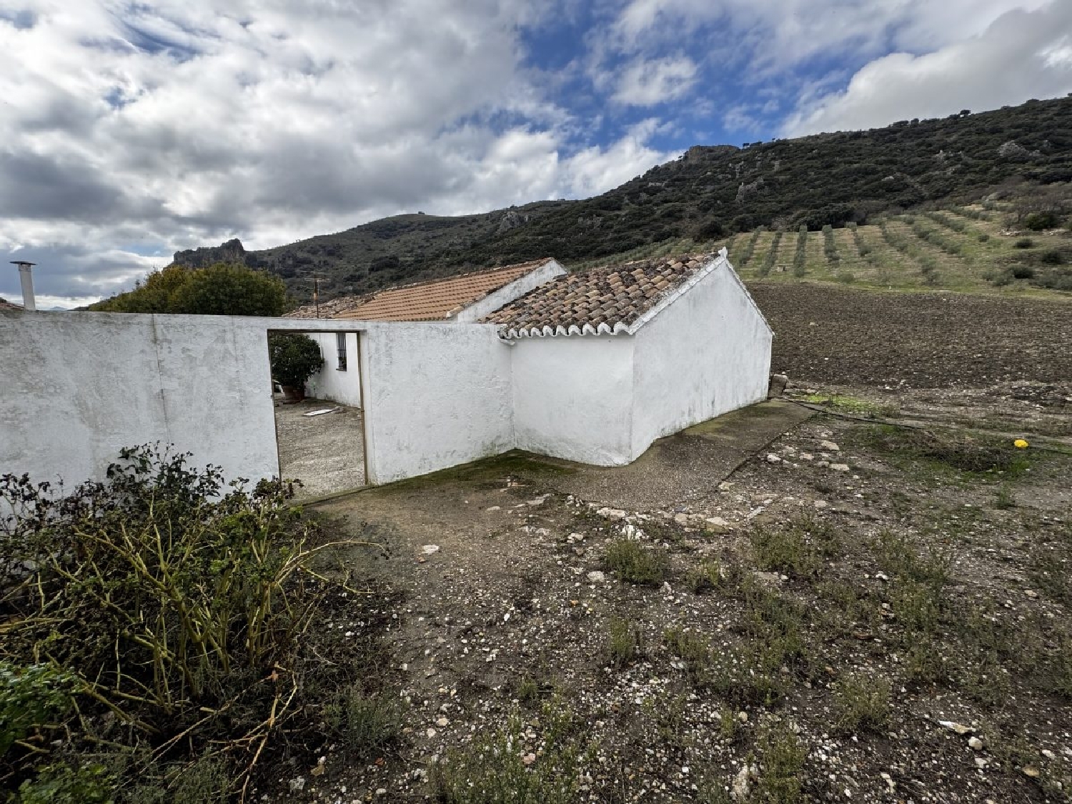 à vendre maison de campagne Montecorto Serranía De Ronda 3