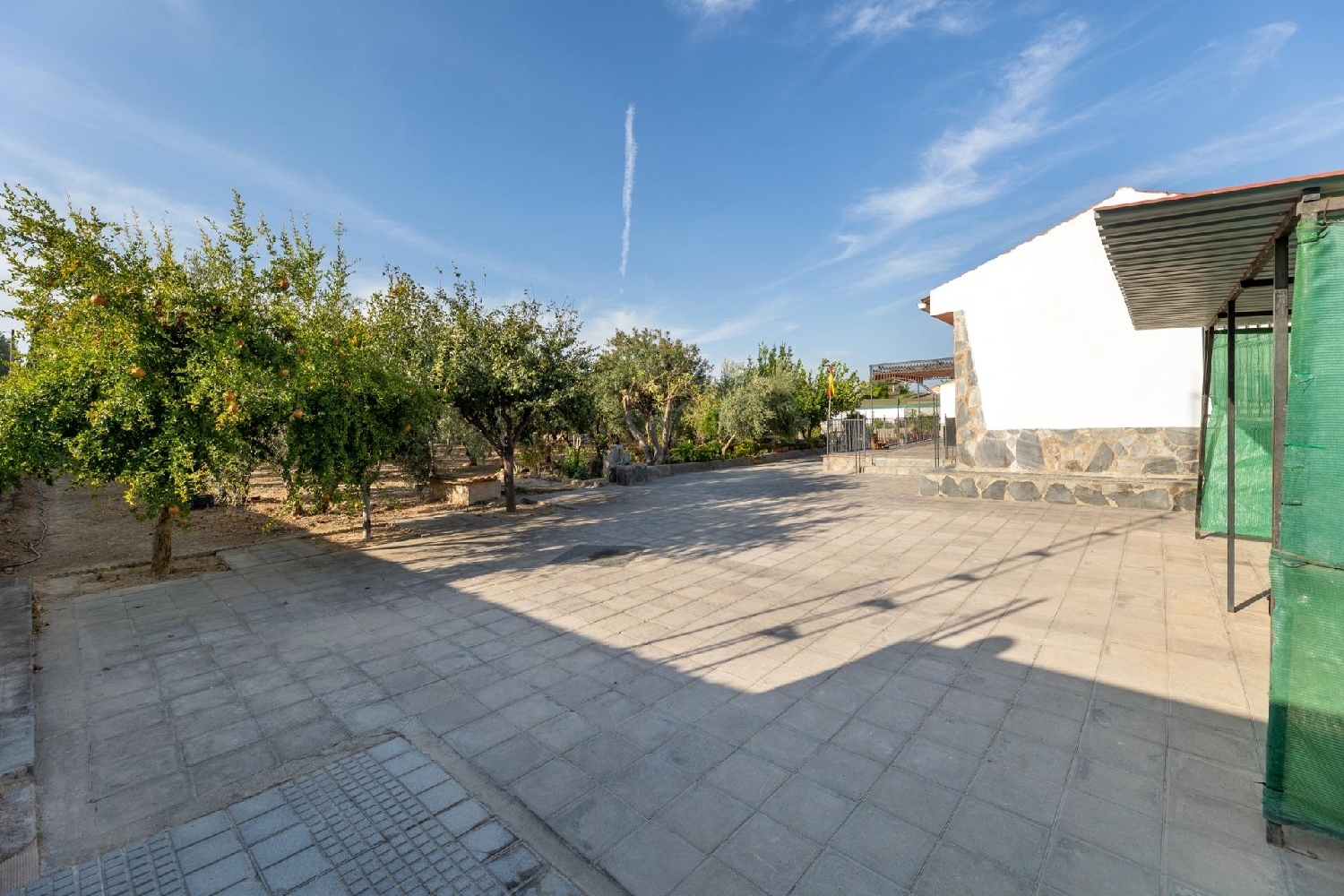  en venta finca rústica Moraleda De Zafayona Loja 5